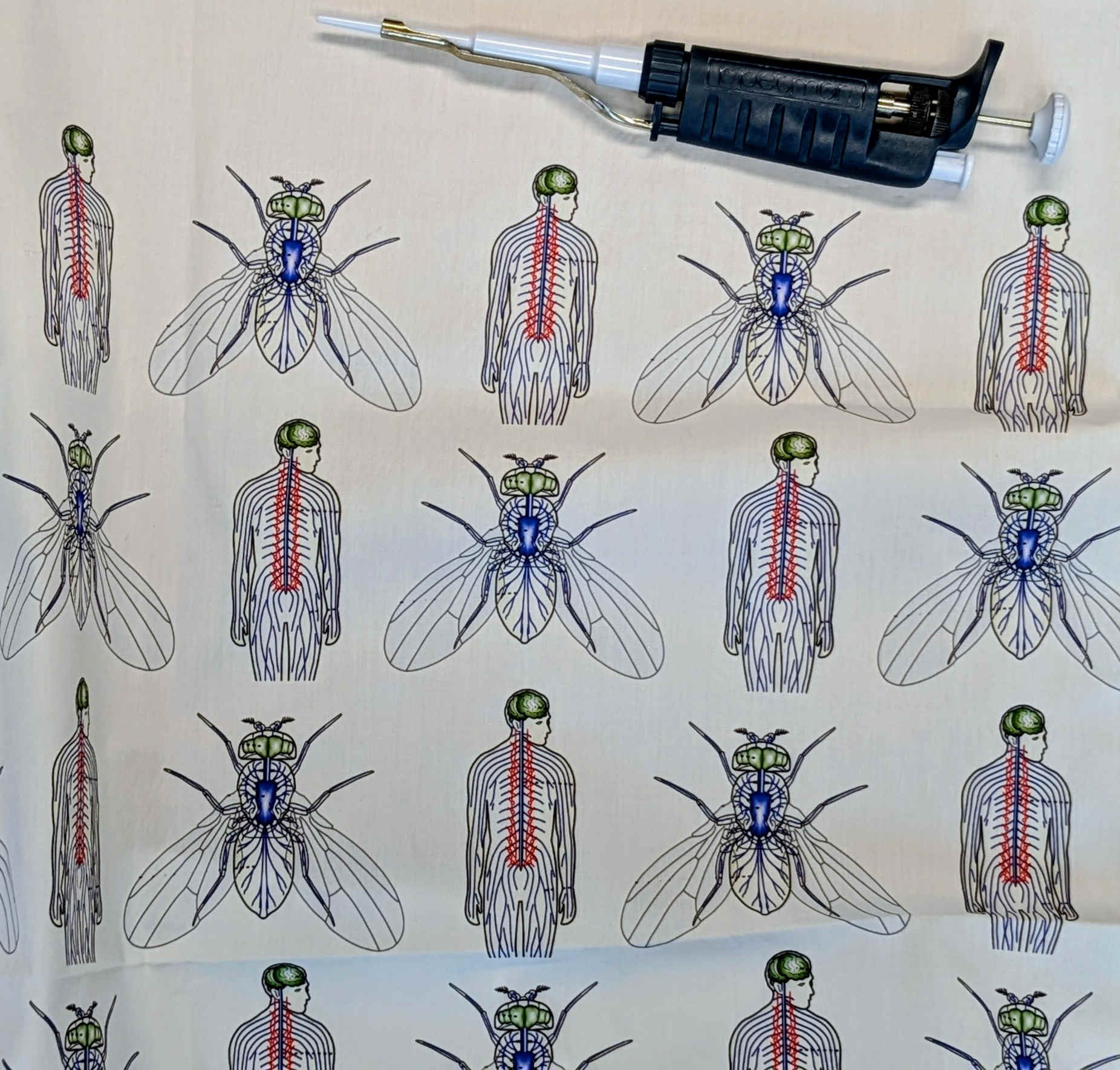 Stitched Together by Science: Weaving Rare Disease Across Species